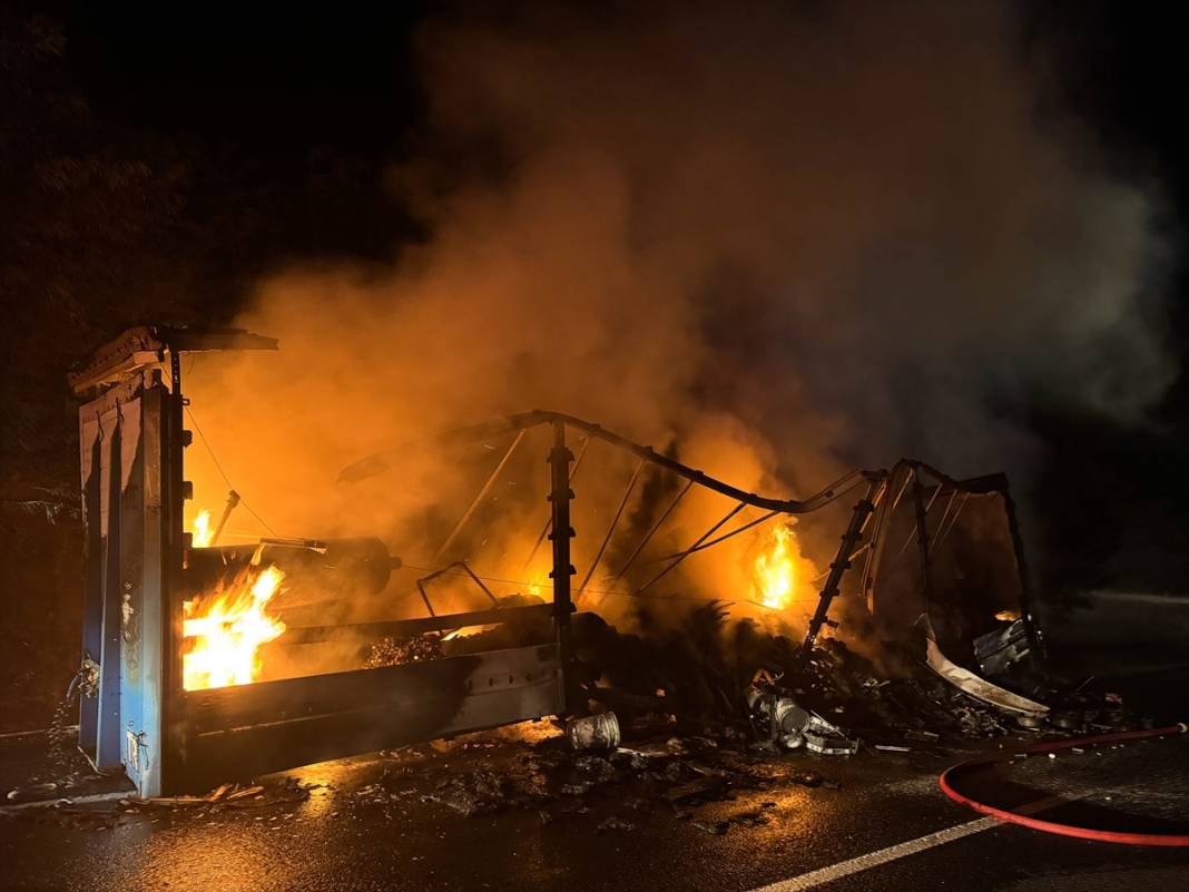 TIR yandı, alevler ağaçlara sıçradı 4